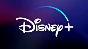 Disney Plus Account Sharing with Others